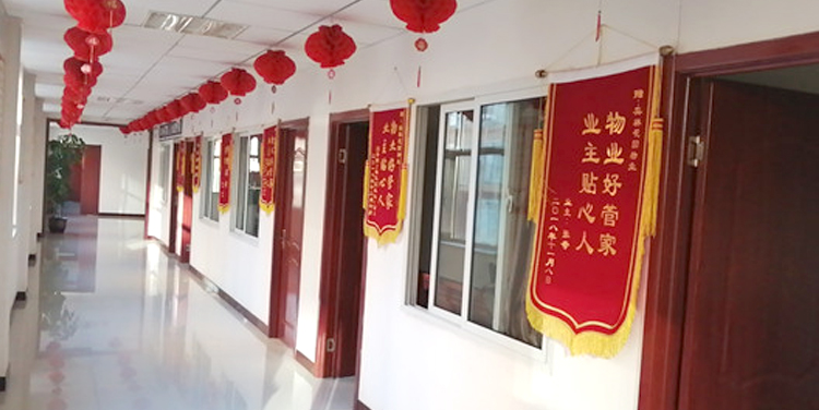  泰信物(wù)業(yè)雙節“助殘活動” 